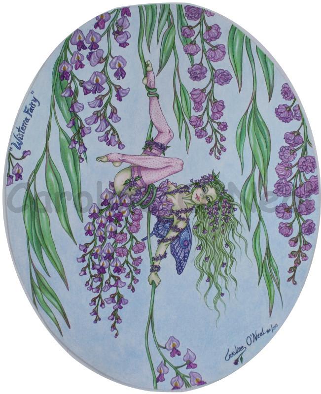 Wisteria
